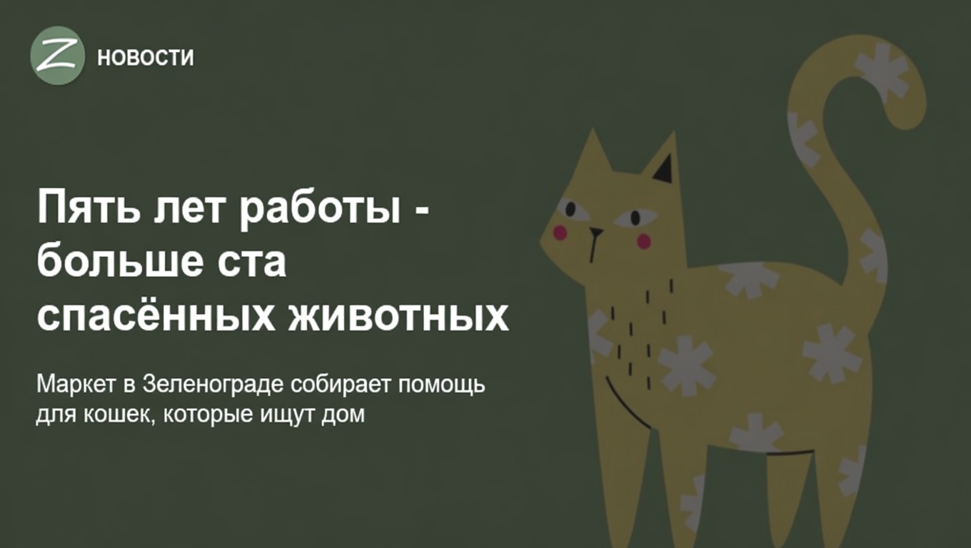 Пять лет работы - больше ста спасённых животных